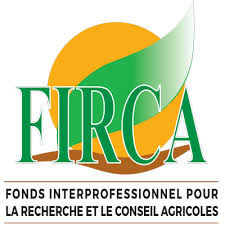 téléchargement (1)